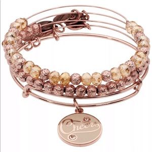 Alex And Ani Bracelet